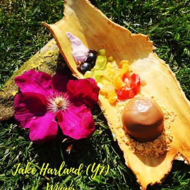 tsa_HomeLearningFood (24)